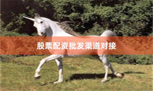 股票配资批发渠道对接