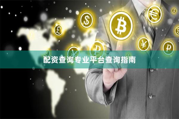 配资查询专业平台查询指南
