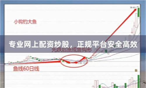 专业网上配资炒股，正规平台安全高效