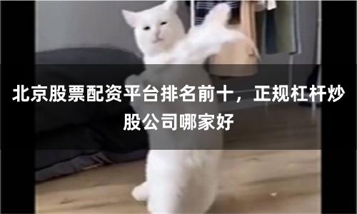 北京股票配资平台排名前十，正规杠杆炒股公司哪家好